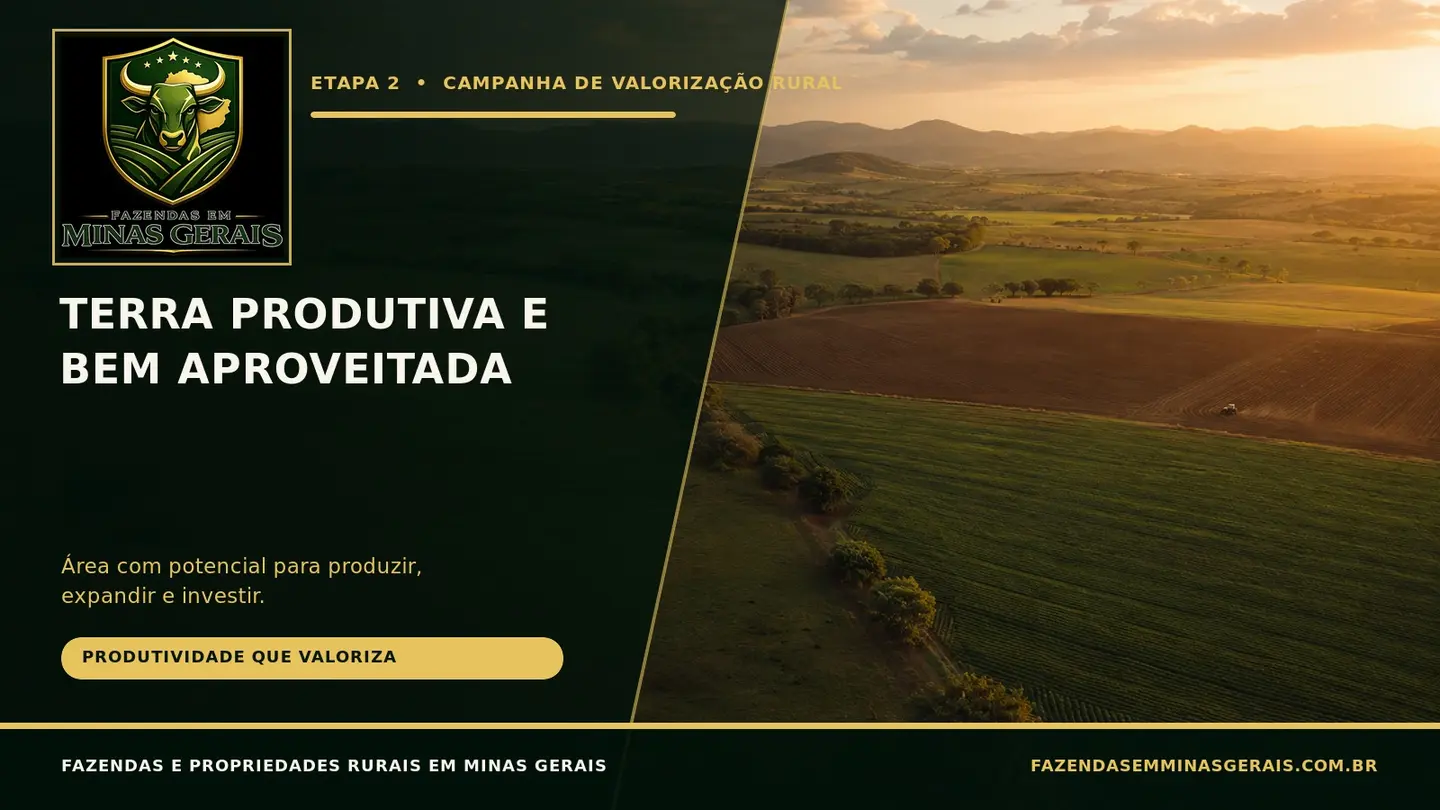Terra produtiva à venda em Minas Gerais